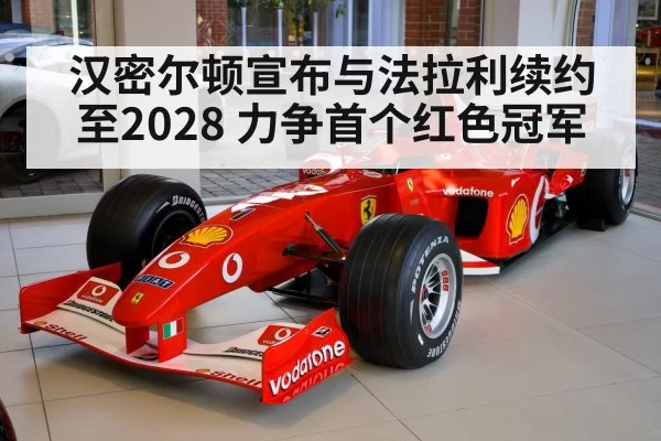 Lewis Hamilton Ferrari(leyu)